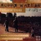 MUDDY WATERS STEPPIN' STONE - FEATURING MUSIC FROM MUDDY WATERS,