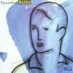 Copertina HEART LIKE A SKY
